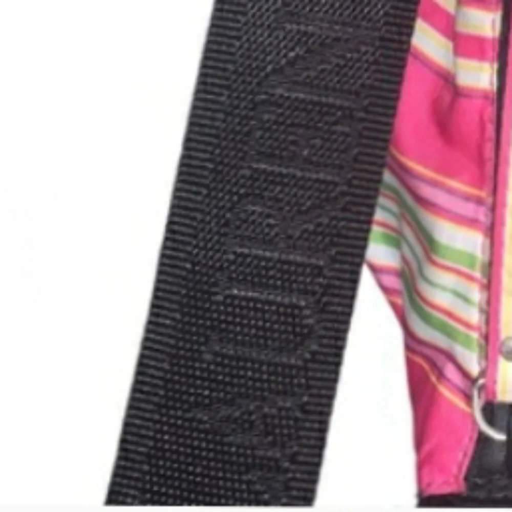 Lauren Ralph Lauren Pink Multicolor Stripe Mini Shoulder Bag with Black Strap